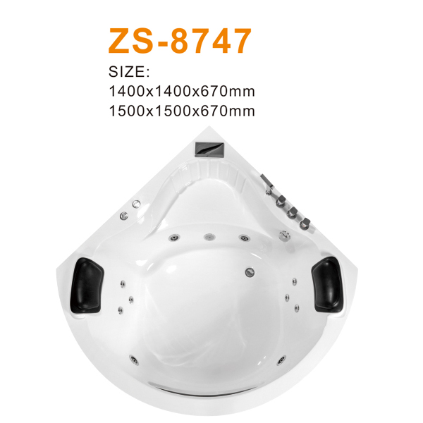 ZS-8747 600.jpg