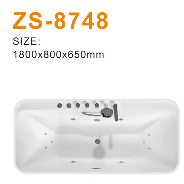 ZS-8748 600.jpg