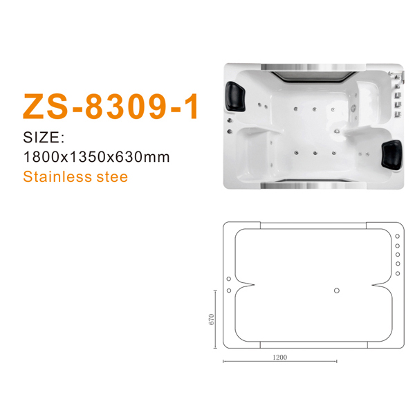 ZS-8309-1 600.jpg